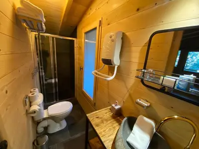 a bathroom with a toilet and a sink and a mirror at Les Cabanes Dans Les Bois Logis Hôtel in Villalier