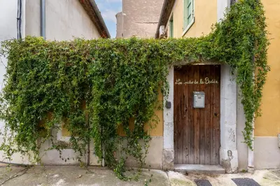 an ivy covered building with a wooden door at Le Patio de la Bastide avec Terrasse & Netflix - Quartier paisible in Carcassonne