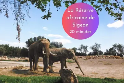 two elephants standing next to each other in a field at Cachette Secrète & SPA Narbonne in Narbonne