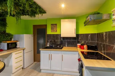 a kitchen with white cabinets and green walls at Cap Jungle Evasion: Cinema Netflix King size in Limoux