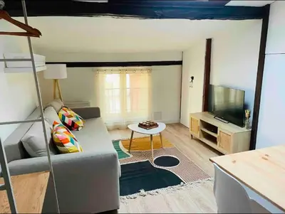 a living room with a couch and a flat screen tv at Le Grand Studio in Castres