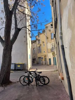 two bikes parked next to a tree on a street at Magnifique villa 11 couchages in Narbonne