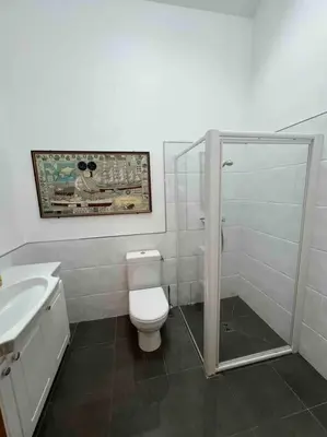 a bathroom with a shower and a toilet and a sink at The hat factory in Espéraza
