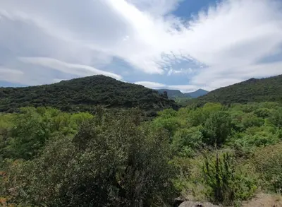 a view of a forest with mountains and trees at Maison chaleureuse près de lagrasse corbières in Saint-Pierre-des-Champs