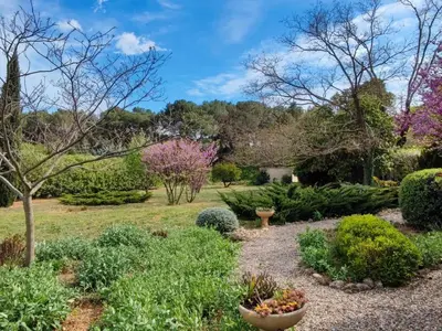 a garden with flowering trees and bushes at Spacious holiday home with private pool and park in Puisserguier