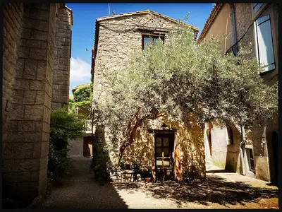 an old stone building with a tree in front of it at B&B Vigne Vierge in Aigne