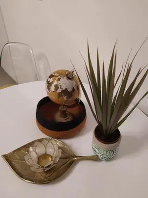 a spoon with a flower on it next to a plant at Studio proche du centre-ville in Carcassonne