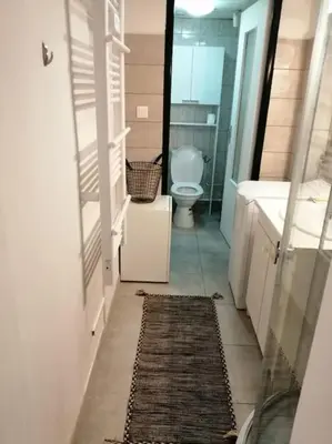 a bathroom with a toilet and a rug on the floor at Studio proche du centre-ville in Carcassonne