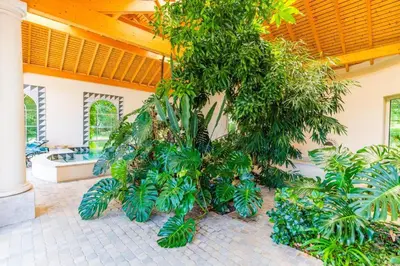 a room with a bunch of trees and plants at DEMEURE BERGAMOTE de FONTIERS in Fontiers-Cabardès