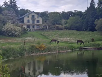 a group of horses grazing in a field next to a house at DEMEURE BERGAMOTE de FONTIERS in Fontiers-Cabardès