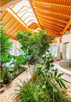 a greenhouse with a lot of plants and a ceiling at DEMEURE BERGAMOTE de FONTIERS in Fontiers-Cabardès