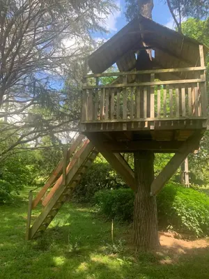 a tree house with a slide on a tree at Sous le Tilleul de la Condomine in Payrin-Augmontel