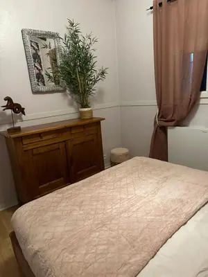 a bedroom with a bed and a plant on a dresser at Belle Lauragaise ensoleillée in Issel