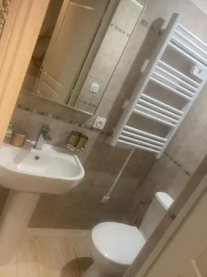 a bathroom with a white toilet and a sink at Loft ANNEXE de La Villaé in Mazamet