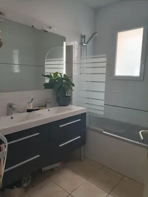 a bathroom with a sink and a tub and a plant at Chambre calme dans une maison à la campagne in Vielmur-sur-Agout