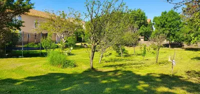 a garden with a tree in the middle of a yard at Maison charmante à Narbonne avec piscine et jardin in Narbonne