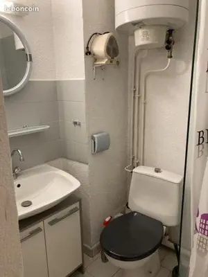 a small bathroom with a toilet and a sink at studio cabine mer in Port-la-Nouvelle