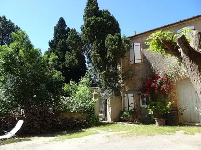 a house with a tree and a chair in front of it at Sigean - Maison domaine viticole, 6 km de la mer in Sigean