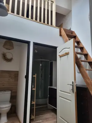 a bathroom with a toilet and a loft bed at Maison de village à la décoration bohème jusqu'à 6 personnes in Viviers-lès-Montagnes