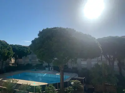 a large tree next to a swimming pool at GRUISSAN PORT JOLI T3 DUPLEX in Gruissan