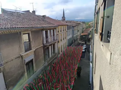 a view of a street with buildings and red plants at La terrasse des Augustins in Limoux