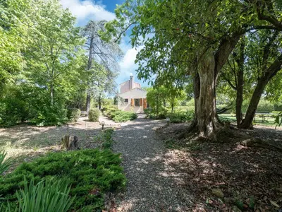 a garden with a tree and a house at Beautiful domaine with private pool and park in Cazouls-lès-Béziers