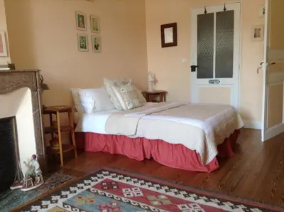 a bedroom with a bed and a fireplace at La Maison de la Riviere B&B in Espéraza