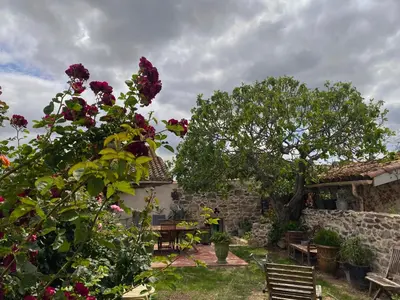 a garden with a tree and a house with roses at Casa Bohême in Caunes-Minervois