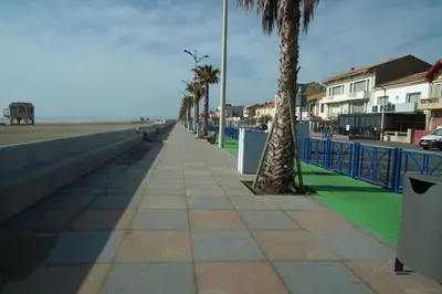 a sidewalk next to the beach with palm trees at Appartement 4 personnes in Port-la-Nouvelle