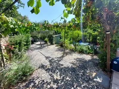a garden with a bunch of plants and vines at Chambre d'hôte Les maisons de Gaia in Tuchan