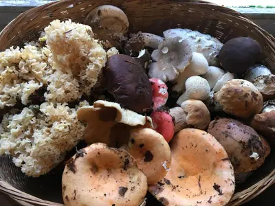 a basket filled with different types of food at La Maison dans la forêt in Vabre