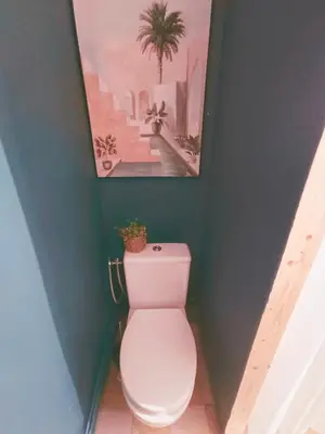 a bathroom with a toilet with a picture on the wall at Studio Oasis Narbonne Terrasse & Calme in Narbonne
