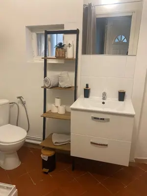 a bathroom with a white sink and a toilet at LE BELFORT 2 Studio lunimeux Quartier les halles in Narbonne