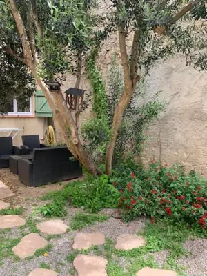 a garden with a tree and some red flowers at L'olivier de Nonna in Gruissan