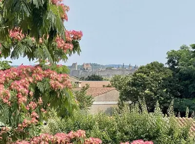 a view of a garden with pink flowers and trees at Villa Tamaris in Carcassonne