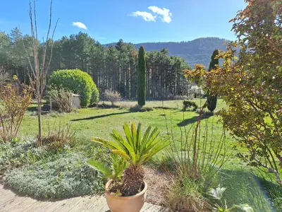 a garden with a potted plant in a yard at Villa les terre rouges avec piscine dans l ' Aude in Arques