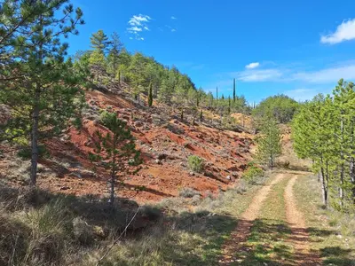 a dirt road on a hill with trees on it at Villa les terre rouges avec piscine dans l ' Aude in Arques