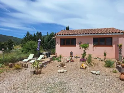 a garden with cacti and plants in front of a house at Studio 