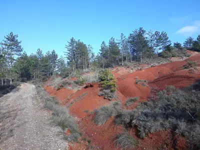 a red dirt hill with trees on it at Studio 