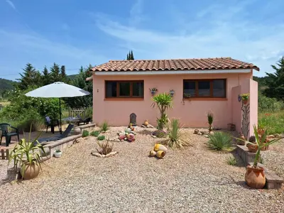 a garden in front of a house with plants at Studio 