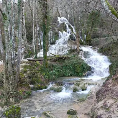 a waterfall on the side of a creek in the woods at Le gîte du bonheur in Dalou