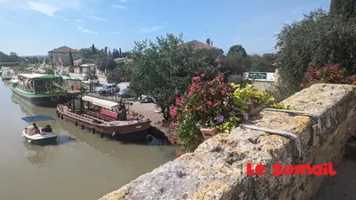 a group of boats docked in a river with flowers at La Cigotà - Villa with swimming pool for 8 people in Pouzols-Minervois