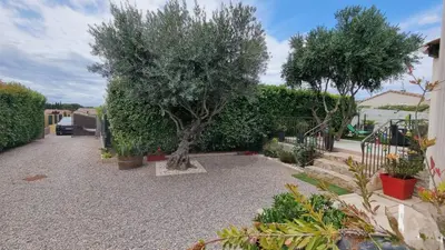 a garden with a tree and some plants at La Cigotà - Villa with swimming pool for 8 people in Pouzols-Minervois