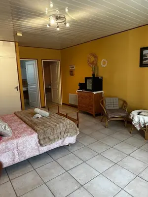 a bedroom with a bed and a tv and a chair at Oasis Des Corbières in Boutenac