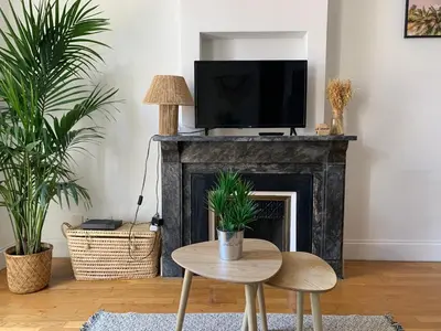 a living room with a fireplace with a tv on it at Le Petit Balcon de Verdun - Carcassonne centre in Carcassonne