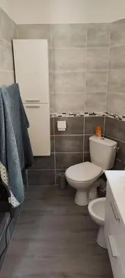a bathroom with a toilet and a sink at Suite Napoléon - La Halte d'Eugénie in Félines-Termenès