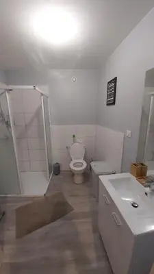 a bathroom with a toilet and a shower and a sink at Un Petit Coin Douillet au Pradel in Montredon-Labessonnié