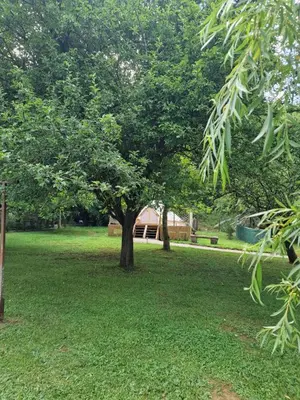 two trees in a park with green grass at Lodge tente les pommiers Glamping Ô rendez-vous en demi-pension in Roquefeuil