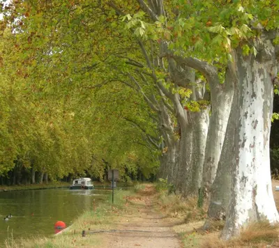a tree lined path next to a river with a boat at Superb villa for 4, private pool in Durban-Corbières