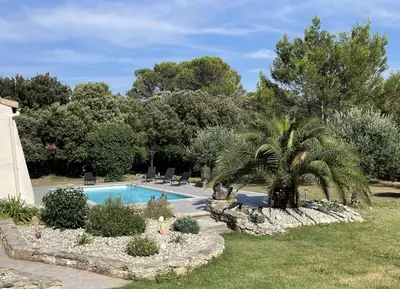 a swimming pool in a garden with a palm tree at villa queen-south IT in Ventenac-Cabardès